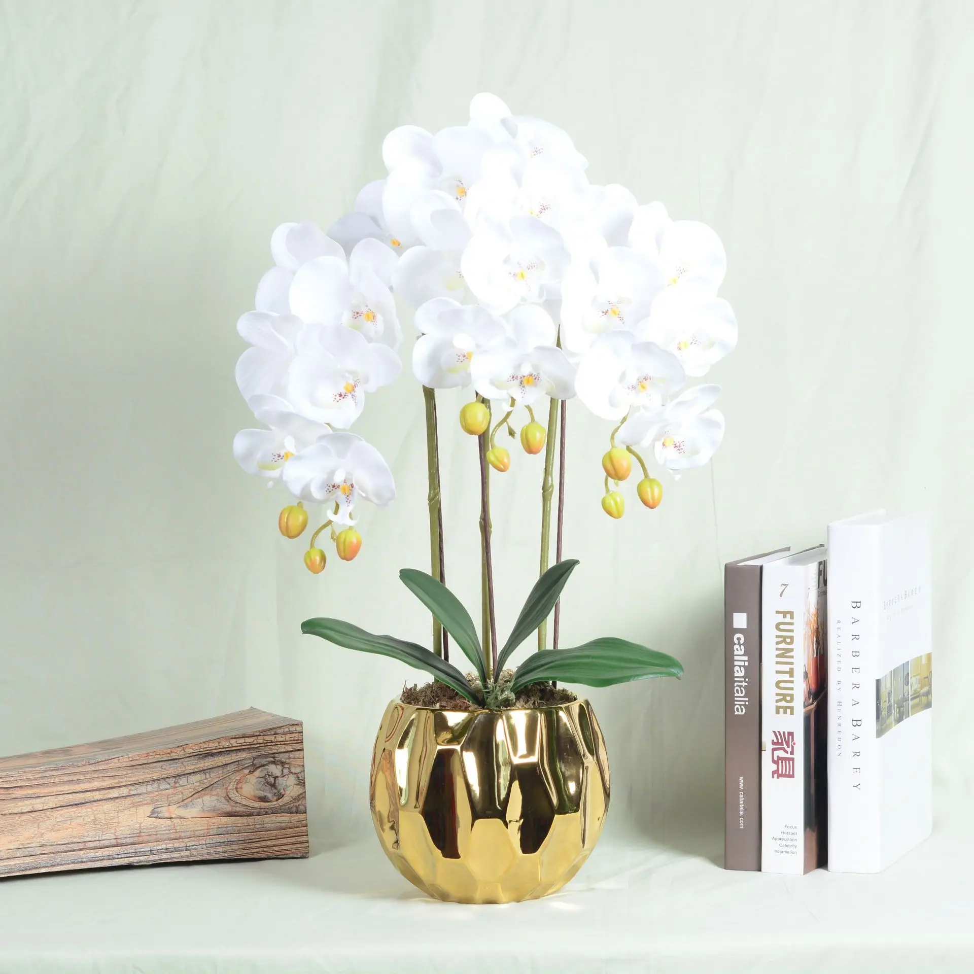 Simulation flower Phalaenopsis set ceramic large potted bonsai decoration fake flowers silk flower ornaments
Simulation flower Phalaenopsis set ceramic large potted bonsai decoration fake flowers silk flower ornaments