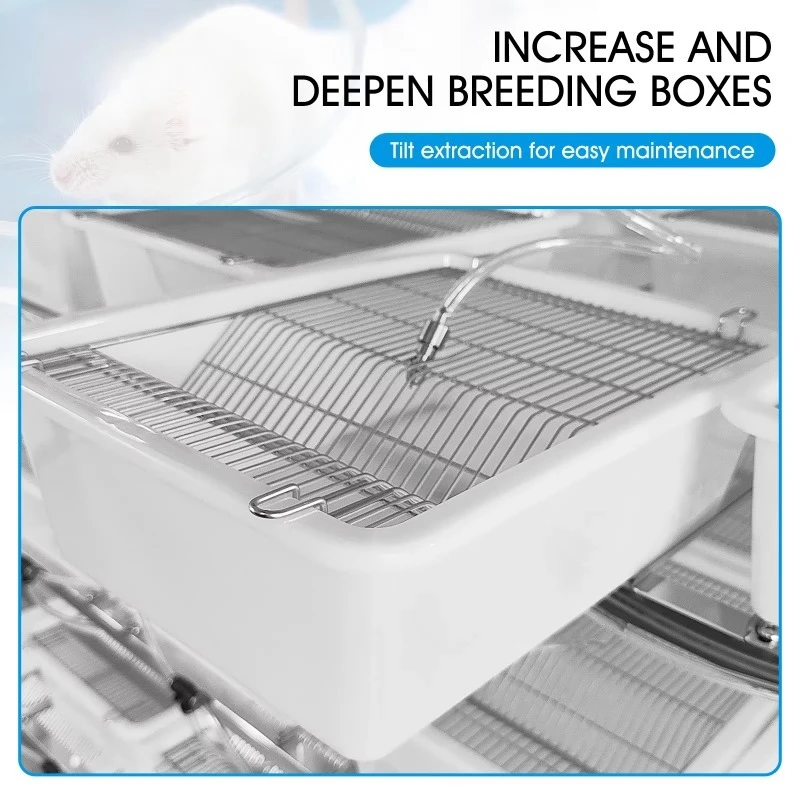 Rat Breeding Cages Breeding Cage System Research Animals Factory Direct Supply Repteer Solid Stainless Steel Tray Box Houses
Rat Breeding Cages Breeding Cage System Research Animals Factory Direct Supply Repteer Solid Stainless Steel Tray Box Houses