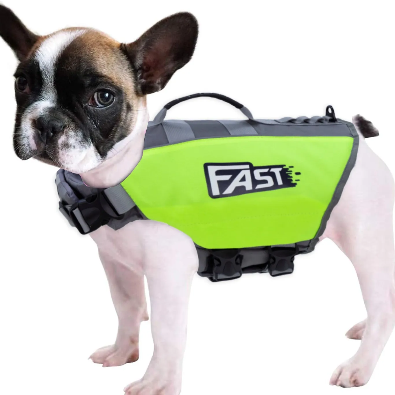 Dog life jacket,swimsuit, teddy magic bucket, pet supplies, dog life jacket, reflective super buoyancy, service dog swimsuit
Dog life jacket,swimsuit, teddy magic bucket, pet supplies, dog life jacket, reflective super buoyancy, service dog swimsuit