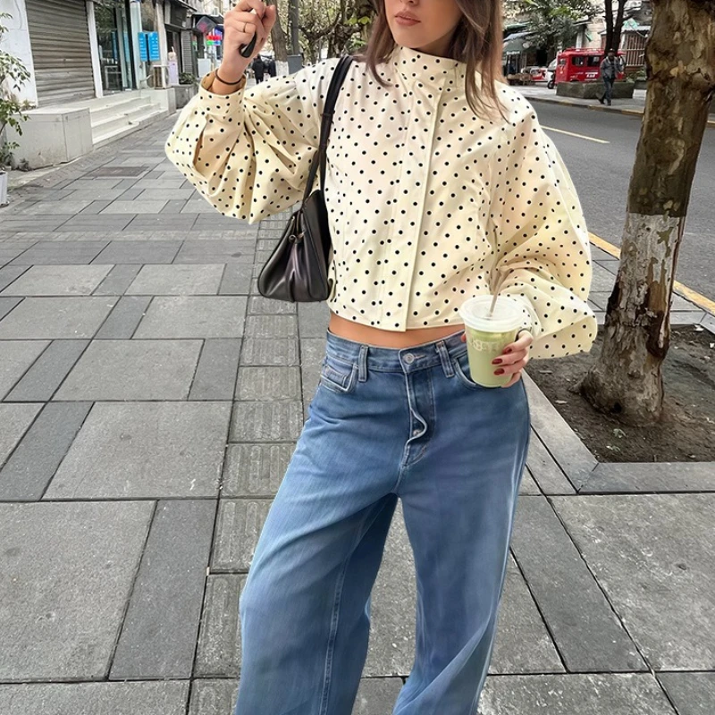 2025 Autumn and Winter New Stand Up Collar Jacket, Casual and Fashionable Polka Dot Versatile Jacket, Women's Clothing
2025 Autumn and Winter New Stand Up Collar Jacket, Casual and Fashionable Polka Dot Versatile Jacket, Women's Clothing