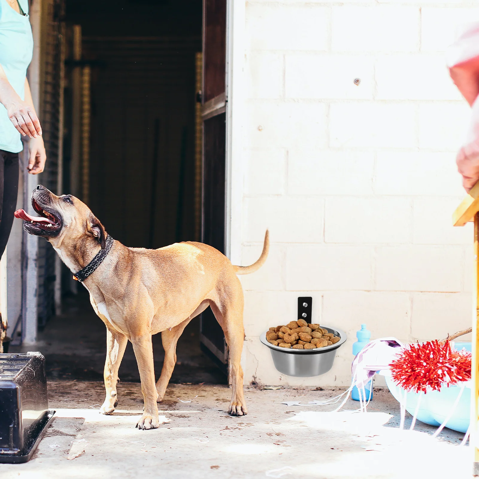 1Set Raised Dog Bowl Elevated Stainless Steel Pet Feeding Bowl Convenient Anti-Overturn Food Water Container for Medium Large
1Set Raised Dog Bowl Elevated Stainless Steel Pet Feeding Bowl Convenient Anti-Overturn Food Water Container for Medium Large