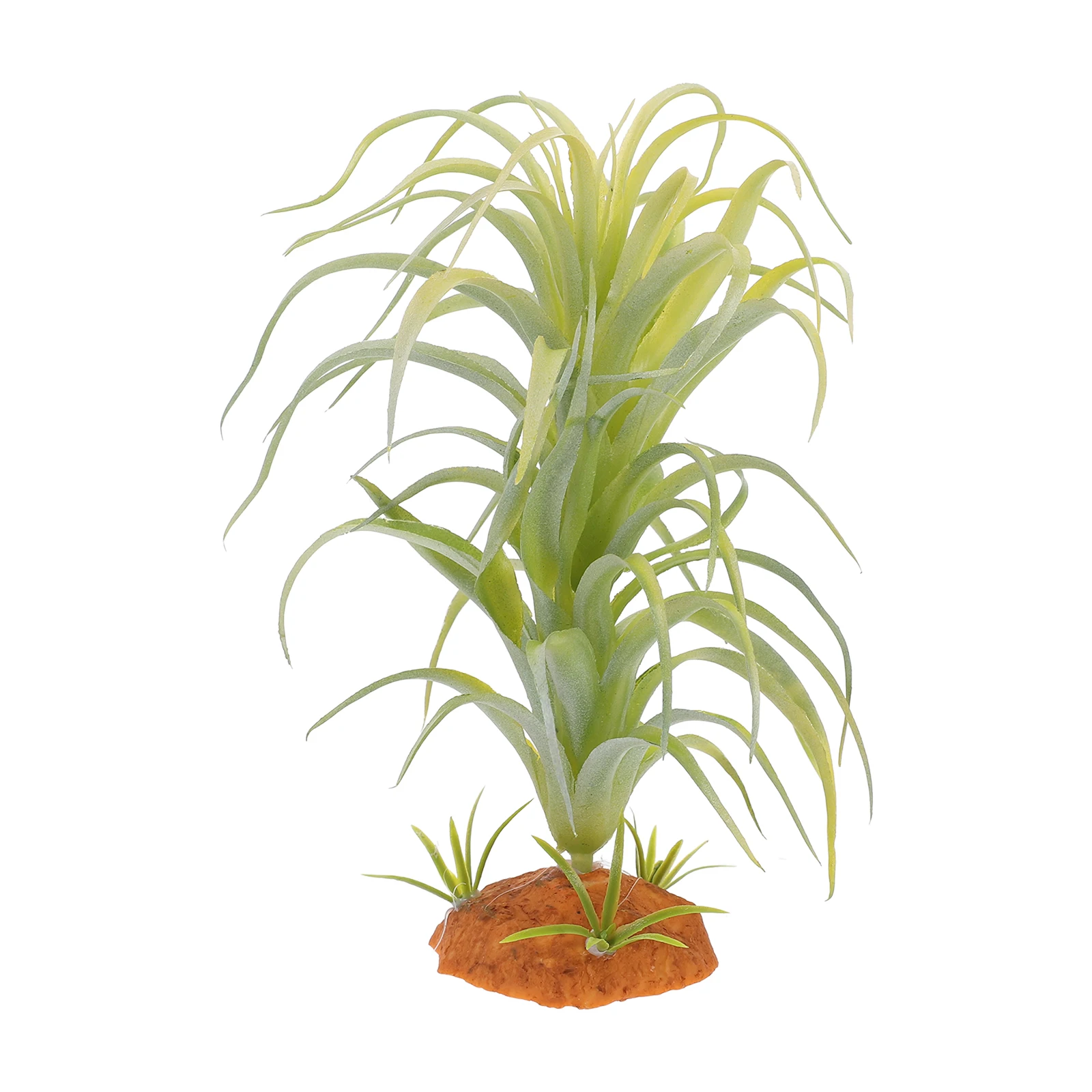 Plant Decorative Plants Aquarium Decorations Spider Reptile Accessories Tank Accessory Enclosure
Plant Decorative Plants Aquarium Decorations Spider Reptile Accessories Tank Accessory Enclosure