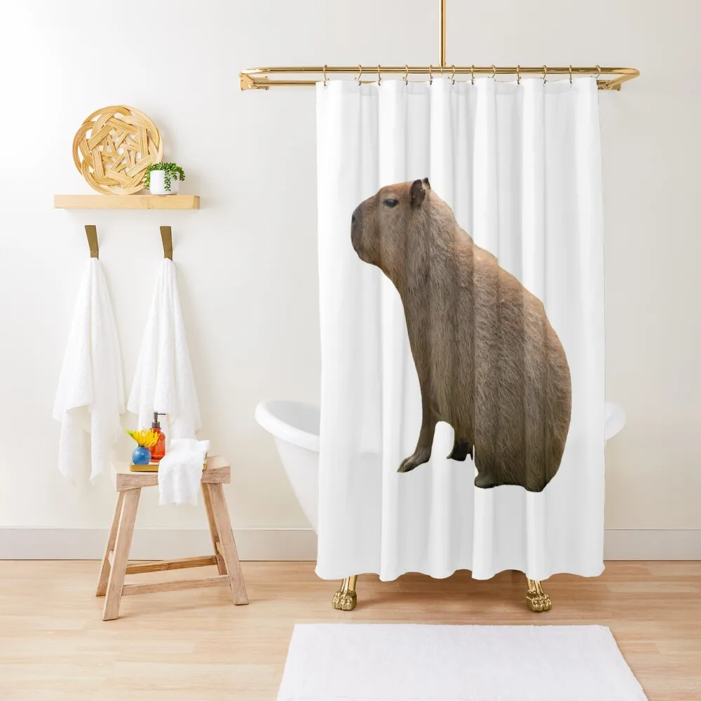 Capybara Sits Shower Curtain Bathroom Shower Set For Bathroom Anime Shower Curtain
Capybara Sits Shower Curtain Bathroom Shower Set For Bathroom Anime Shower Curtain