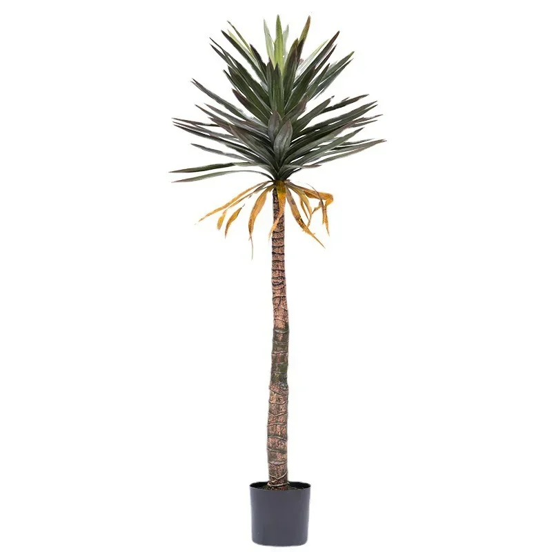 Simulated agave potted tropical plants indoor green plants pool landscape
Simulated agave potted tropical plants indoor green plants pool landscape
