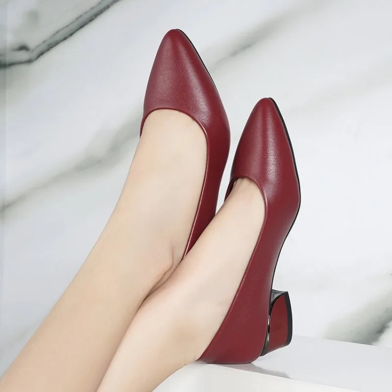 2026 Women Pointed Toe High Heels Shoes New Fashion Pumps Outdoor Anti-slip Designer Shoes Elegant Shoes Zapatos De Mujer
2026 Women Pointed Toe High Heels Shoes New Fashion Pumps Outdoor Anti-slip Designer Shoes Elegant Shoes Zapatos De Mujer