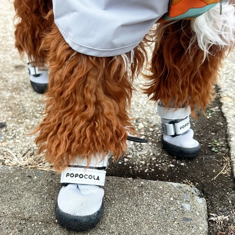 4 шт. зимние теплые водонепроницаемые ботинки для собак мелких пород (шнауцер, тедди), нескользящие снегоступы, мягкие и удобные, товары для собак
4 шт. зимние теплые водонепроницаемые ботинки для собак мелких пород (шнауцер, тедди), нескользящие снегоступы, мягкие и удобные, товары для собак