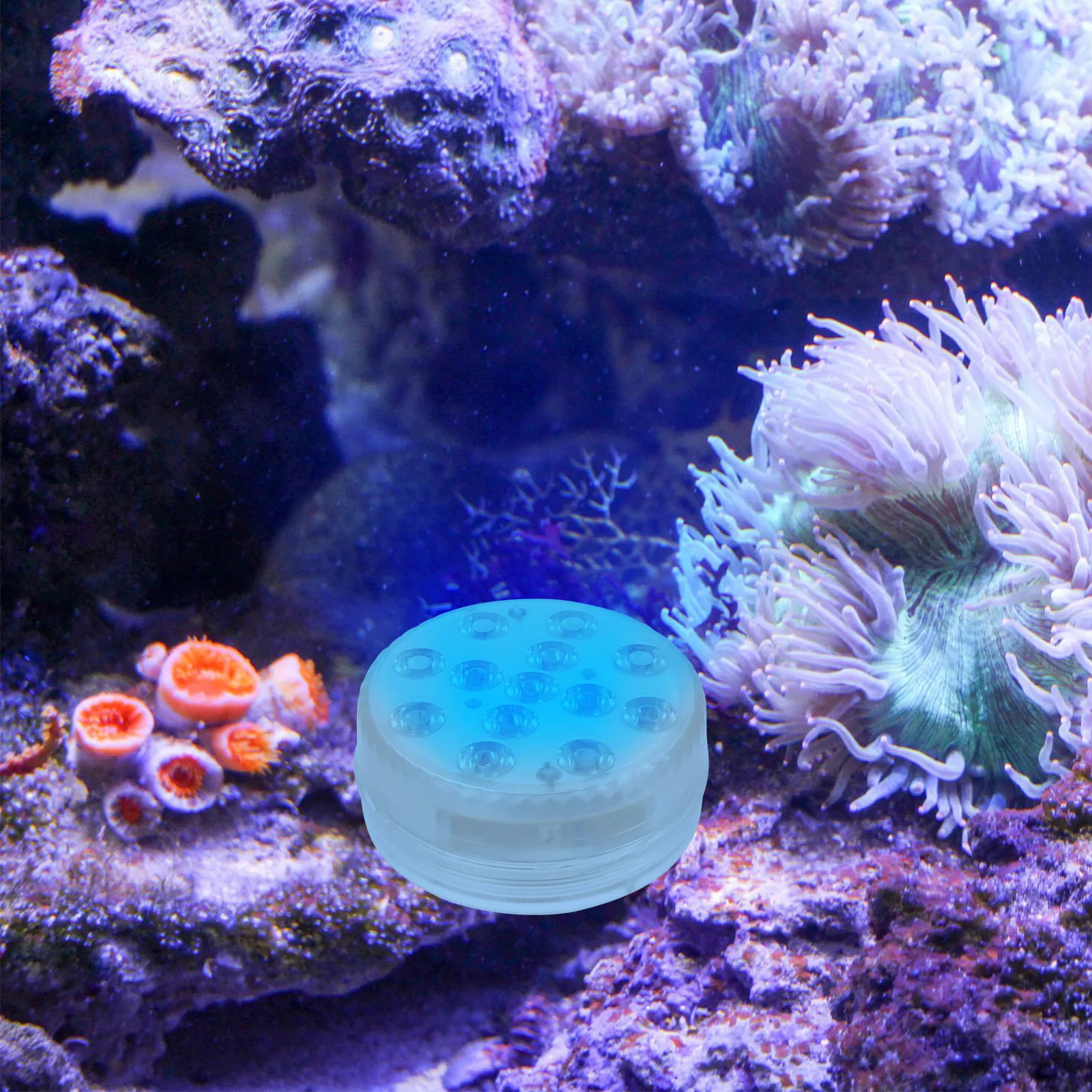 1Set LED Aquarium Light Waterproof Submersible Lamp for Fish Tank Pool Decor with Magnets Suction Cups Multicolor Remote Control
1Set LED Aquarium Light Waterproof Submersible Lamp for Fish Tank Pool Decor with Magnets Suction Cups Multicolor Remote Control