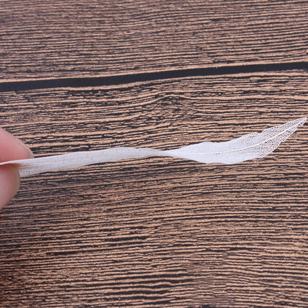6pcs Leaf Vein Material Natural Leaves Craft Project Accessories Dried Specimen Bookmark Art Creation Decoration
6pcs Leaf Vein Material Natural Leaves Craft Project Accessories Dried Specimen Bookmark Art Creation Decoration