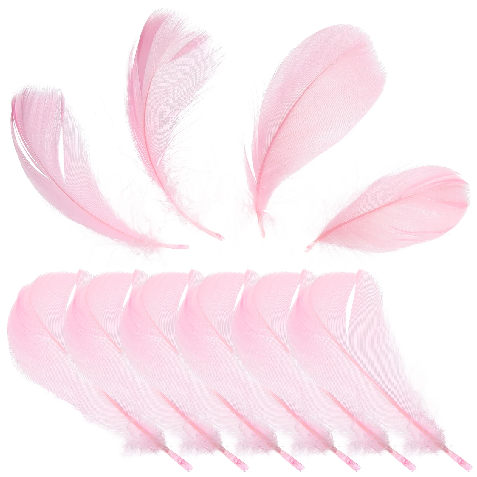 15 Pcs Decor Photo Props Manicure Display Lightweight Plume Home Background Tiny Plume Style
15 Pcs Decor Photo Props Manicure Display Lightweight Plume Home Background Tiny Plume Style