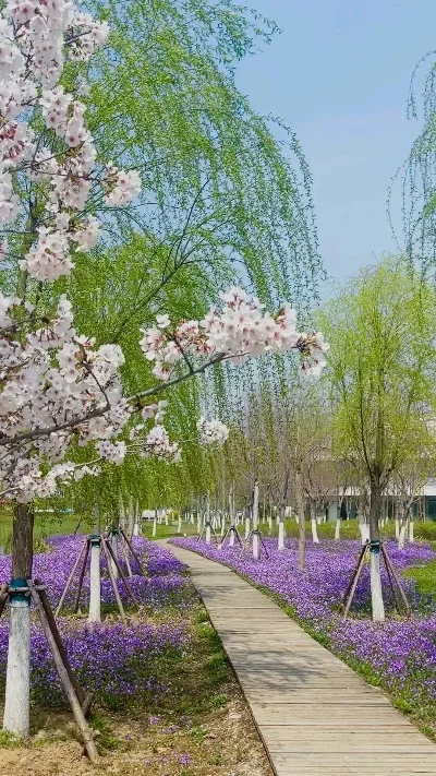 4Pcs Aluminum Classic 1.9 Beadlock Wheels Rim for 1/10 RC Car Crawler Axial SCX10 TRX4 Bronco MST CFX 86100 YK4102 TF2
4Pcs Aluminum Classic 1.9 Beadlock Wheels Rim for 1/10 RC Car Crawler Axial SCX10 TRX4 Bronco MST CFX 86100 YK4102 TF2