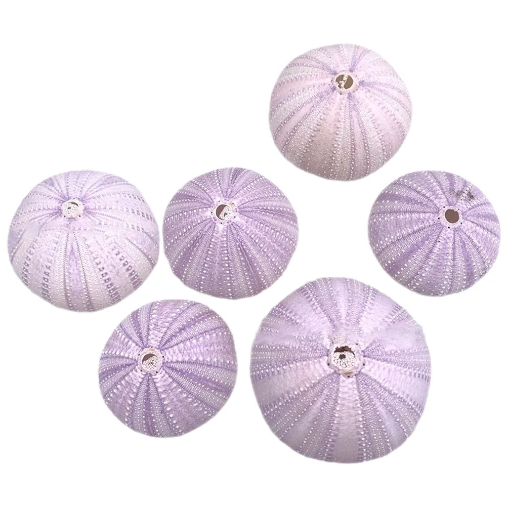 6pcs Natural Shell Sea Urchin Decor 4 6CM Fish Tank Aquarium Landscape Home Office Desktop Gardening Tools Combo Set Mini
6pcs Natural Shell Sea Urchin Decor 4 6CM Fish Tank Aquarium Landscape Home Office Desktop Gardening Tools Combo Set Mini