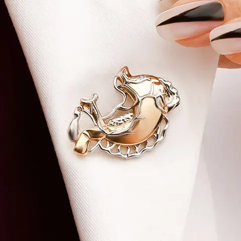 Broche en métal pour anatomie de l'estomac, épingles de gastroentérologie médicale, manteau à revers, sac à dos, Badge, bijoux cadeau pour médecins, infirmières, biologiste