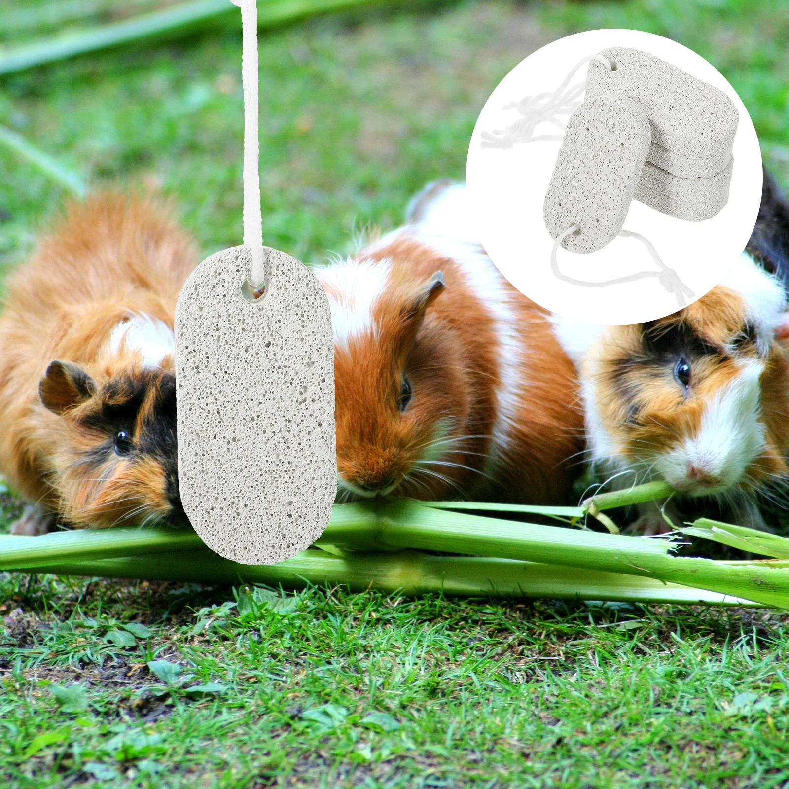 5 Pcs Grinder Hamster Lava Teeth Pumice Stone Chinchilla Toys Rats Volcanic Cage Treats
5 Pcs Grinder Hamster Lava Teeth Pumice Stone Chinchilla Toys Rats Volcanic Cage Treats