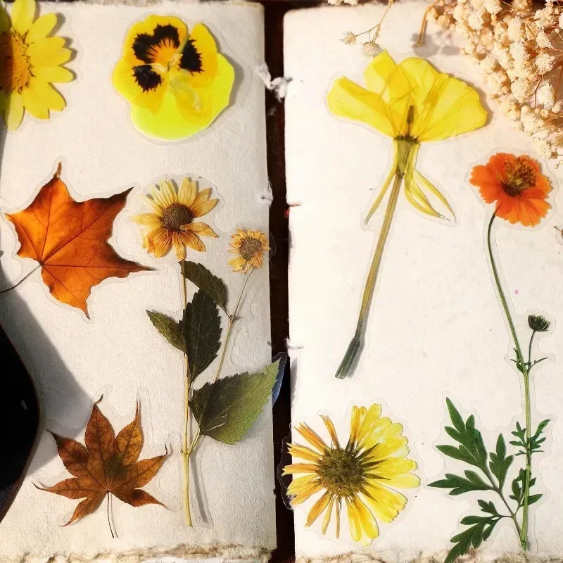 20 листов, винтажные цветочные наклейки, четыре сезона, цветочные растения, справочник, романтические принадлежности для ночного ветра, альбом для вырезания 221*99 мм
20 листов, винтажные цветочные наклейки, четыре сезона, цветочные растения, справочник, романтические принадлежности для ночного ветра, альбом для вырезания 221*99 мм