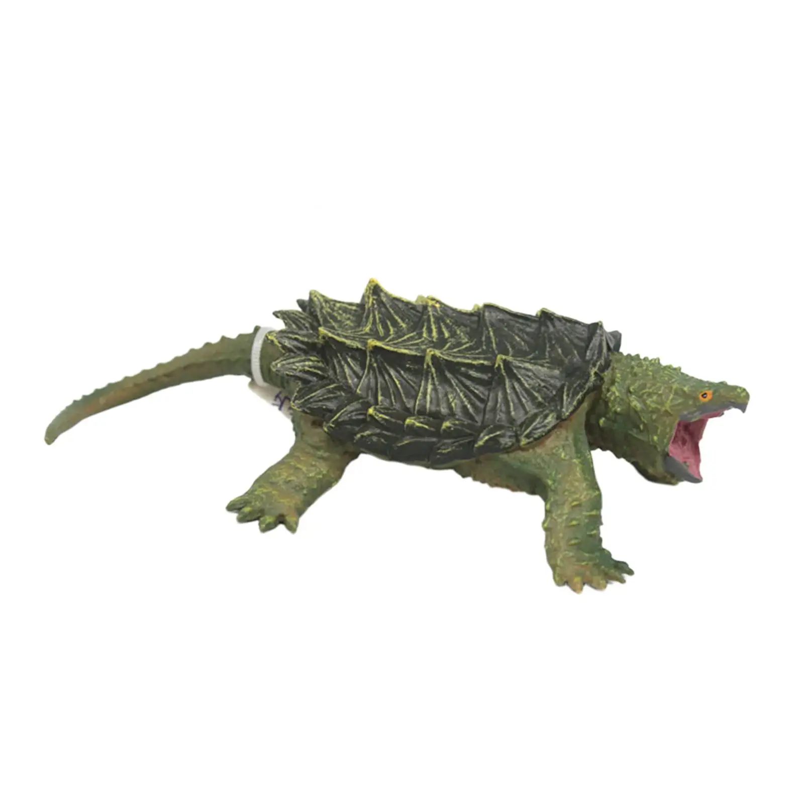 Snapping Turtle Model Collectible Ealry Educational Learning Toy Birthday Gift Cake Topper Realistic Ornament Turtle Figure
Snapping Turtle Model Collectible Ealry Educational Learning Toy Birthday Gift Cake Topper Realistic Ornament Turtle Figure