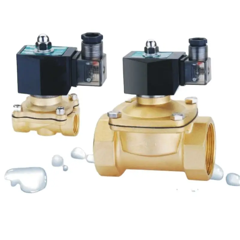 AC220 AC110 AC24 DC24 DC12V High Pressure Gas Cylinder Valve/Gas Control Valve in China
AC220 AC110 AC24 DC24 DC12V High Pressure Gas Cylinder Valve/Gas Control Valve in China