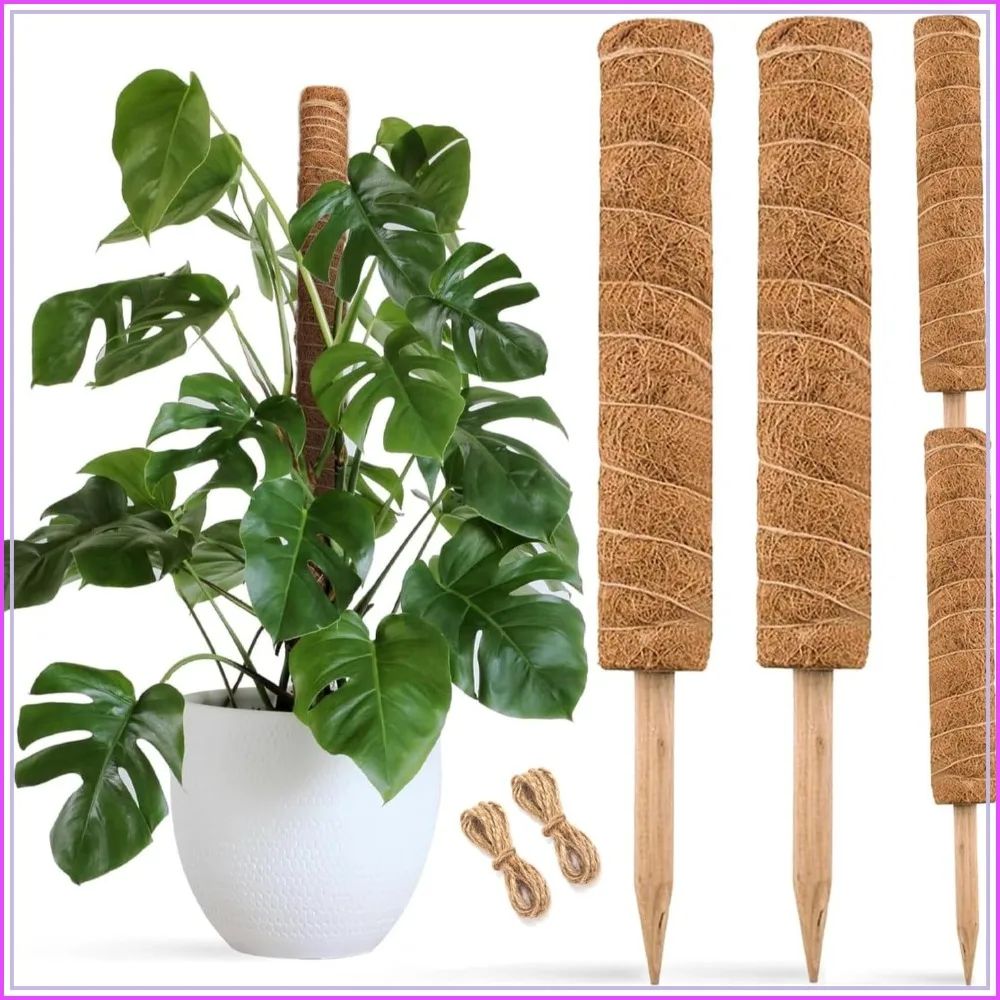 30 Inch Moss Pole for Climbing Plants - 2 Pack 15 Inch Coir Totem Pole Plant Support with 65 Feet Garden Twist Tie for Monstera and Potted Plants to Grow Upwards
30 Inch Moss Pole for Climbing Plants - 2 Pack 15 Inch Coir Totem Pole Plant Support with 65 Feet Garden Twist Tie for Monstera and Potted Plants to Grow Upwards