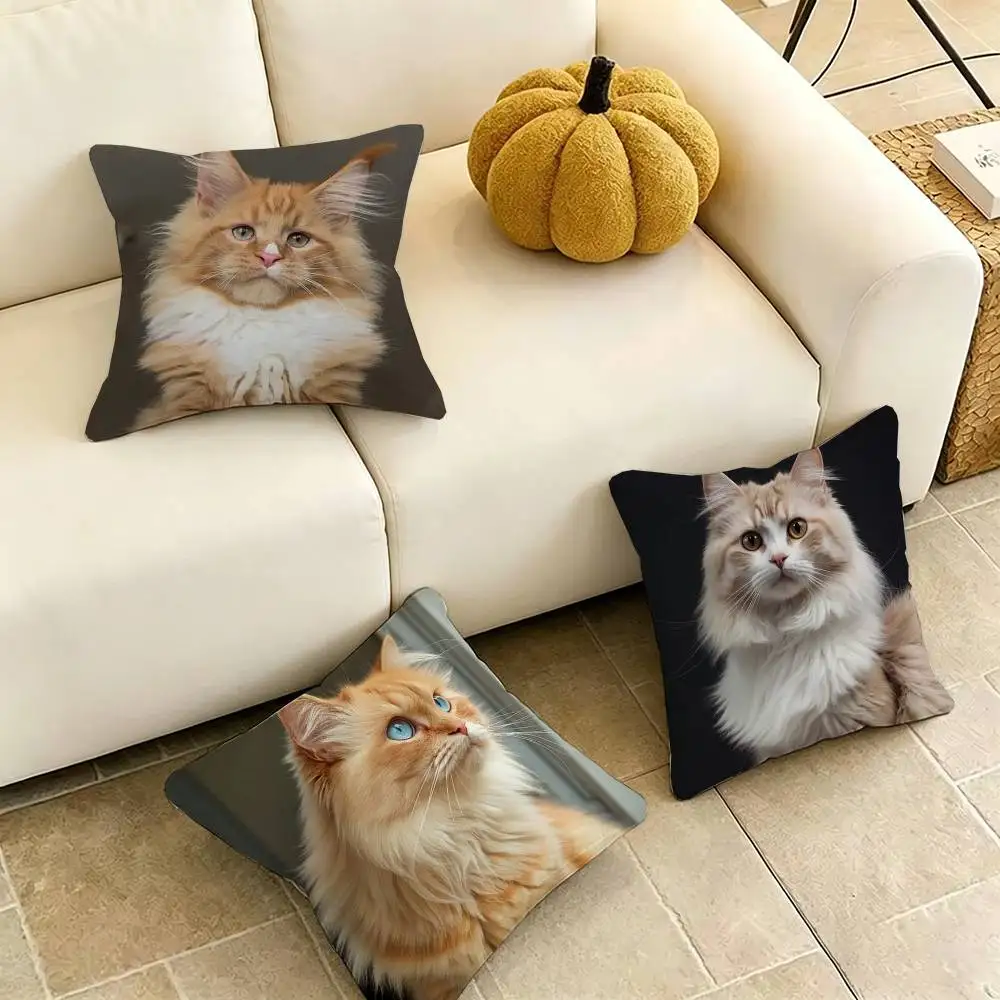 Majestic Cute Maine Coon Cat Pillow Case Square Double-Sided Sofa Cushion Cover Bedroom Bedside Pillow Gift
Majestic Cute Maine Coon Cat Pillow Case Square Double-Sided Sofa Cushion Cover Bedroom Bedside Pillow Gift