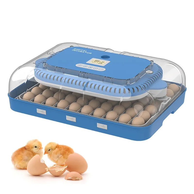 Small Incubator Hatchery Egg Hatching Machine 70 Eggs Incubator
Small Incubator Hatchery Egg Hatching Machine 70 Eggs Incubator