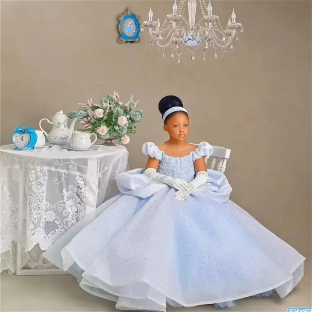Customized Light Blue Flower Girl Dresses For Wedding Sequins Floor Length Princess Birthday Party First Communion Pageant Gown
Customized Light Blue Flower Girl Dresses For Wedding Sequins Floor Length Princess Birthday Party First Communion Pageant Gown