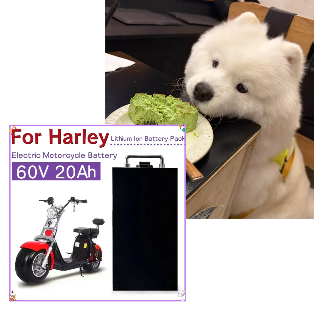 60V 20Ah-60AH For Harley Citycoco Electric Motorcycle Waterproof 18650 Lithium Battery For CityCoco Electric Scooter Battery
60V 20Ah-60AH For Harley Citycoco Electric Motorcycle Waterproof 18650 Lithium Battery For CityCoco Electric Scooter Battery