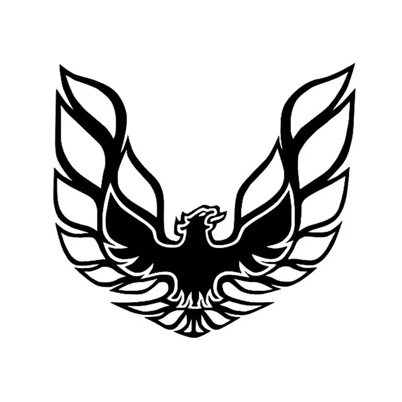 16cm*15cm Car Sticker Personality Funny Firebird Art Pattern Design Vinyl Sticker Car Bumper Body Rear Window Decorative Decals
16cm*15cm Car Sticker Personality Funny Firebird Art Pattern Design Vinyl Sticker Car Bumper Body Rear Window Decorative Decals