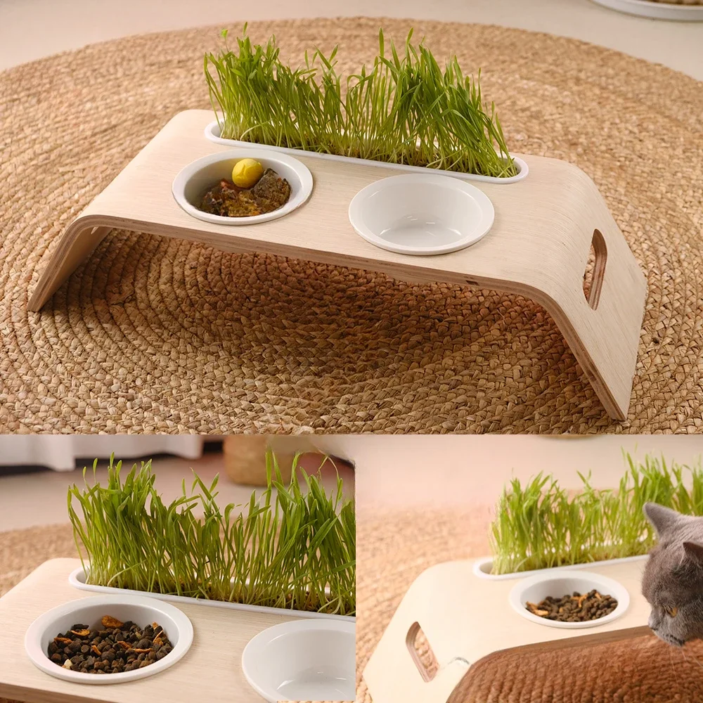 # Bowl Dog Bowl Pet Feeder OEM Logo Wholesale Nonslip Ceramic Pet Wooden Wood For Dogs Season
# Bowl Dog Bowl Pet Feeder OEM Logo Wholesale Nonslip Ceramic Pet Wooden Wood For Dogs Season