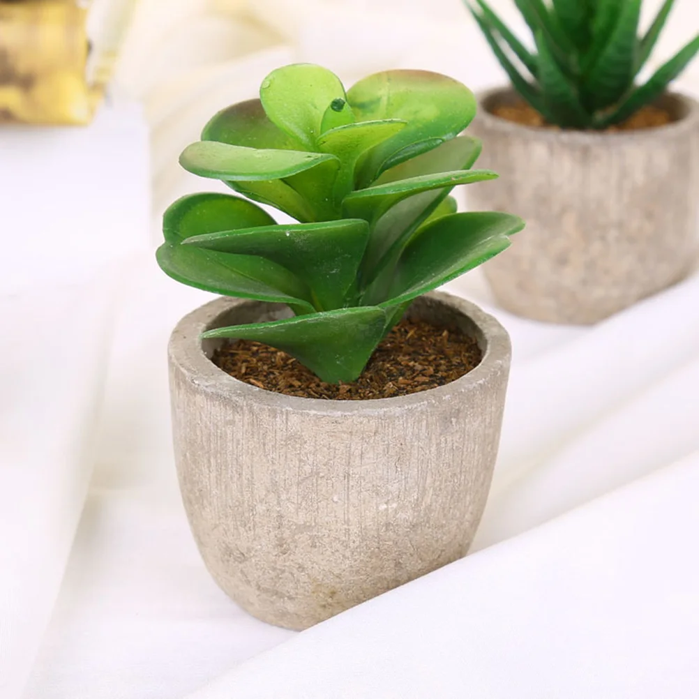 6 Pcs Simulative Fleshy Bonsai Mini Plant Potted Succulent Creative Plants Home Decor Small nament Safe Material Eye Relief
6 Pcs Simulative Fleshy Bonsai Mini Plant Potted Succulent Creative Plants Home Decor Small nament Safe Material Eye Relief
