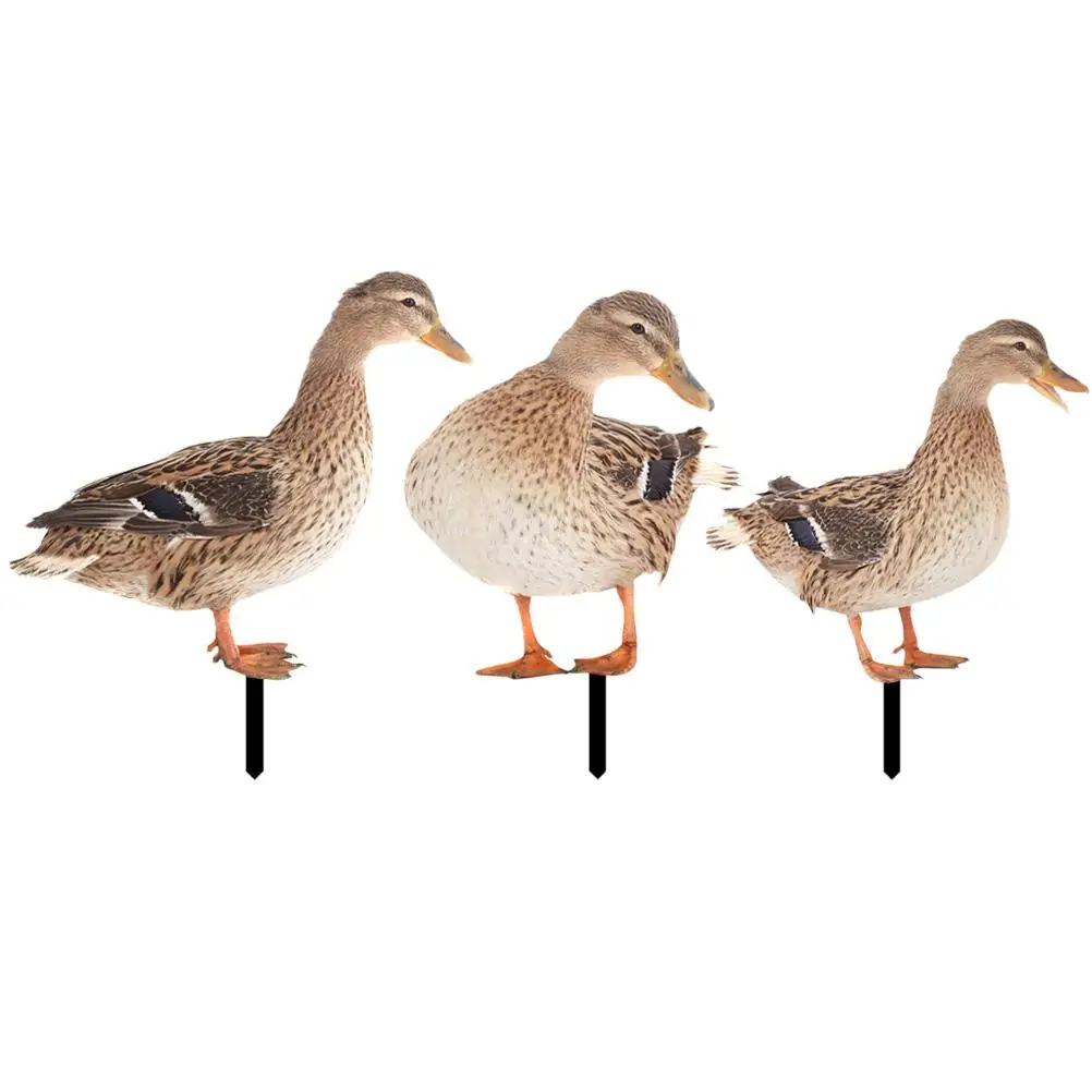 3Pcs Garden Decorative Duck Stakes Acrylic Lawn Ornaments Durable Outdoor Decoration Courtyard Gifts Yard Garden
3Pcs Garden Decorative Duck Stakes Acrylic Lawn Ornaments Durable Outdoor Decoration Courtyard Gifts Yard Garden