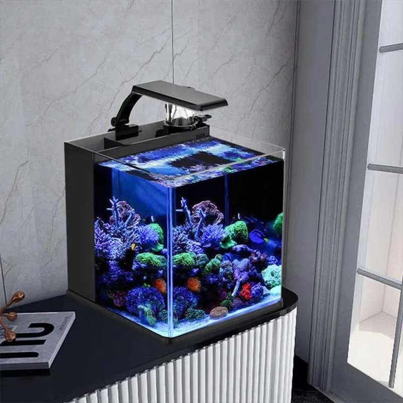 Curved saltwater marine fish tank with protein skimmer professional coral lamp ultra-transparent glass
Curved saltwater marine fish tank with protein skimmer professional coral lamp ultra-transparent glass