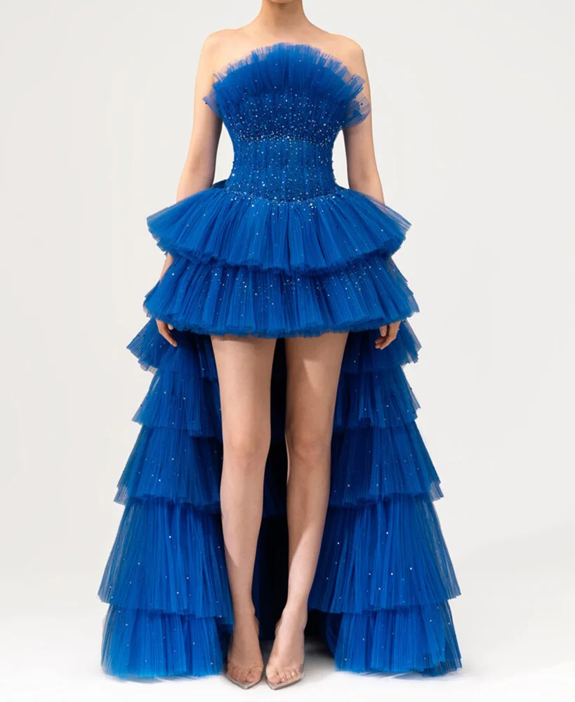 Royal Blue Prom Dress Hi Lo Party Dresses Layers Tulle Evening Dress Accept Custom Made
Royal Blue Prom Dress Hi Lo Party Dresses Layers Tulle Evening Dress Accept Custom Made