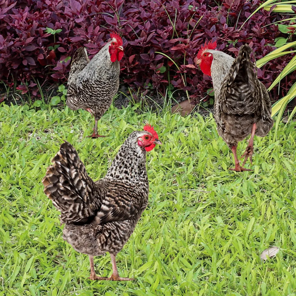 3Pcs Chicken Shaped Garden Stake Decor Adorable Acrylic Yard Sign Lawn Decoration Outdoor Garden Adornment Backyard Chicken
3Pcs Chicken Shaped Garden Stake Decor Adorable Acrylic Yard Sign Lawn Decoration Outdoor Garden Adornment Backyard Chicken