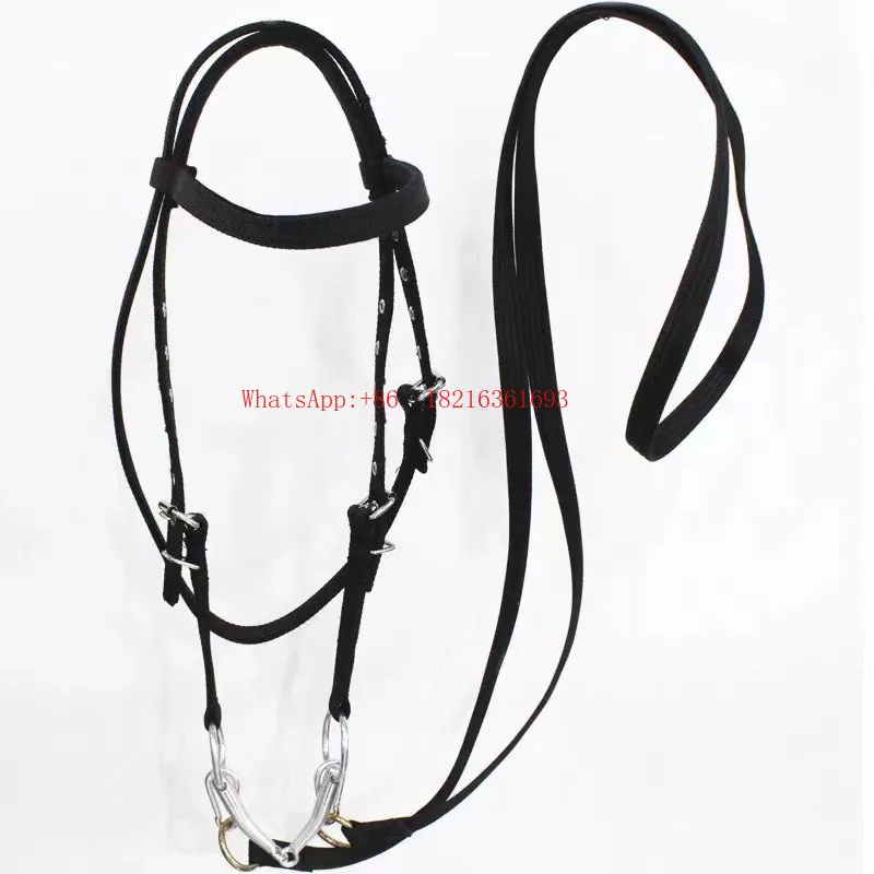 A complete set of adjustable harness iron heads handmade equestrian supplies
A complete set of adjustable harness iron heads handmade equestrian supplies