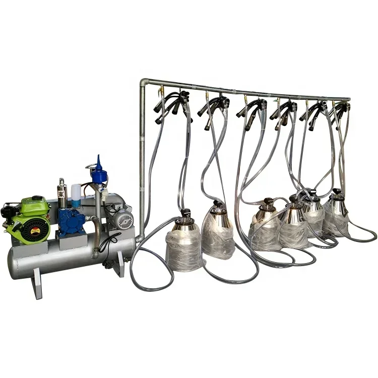 cross-borderHot sales304 vacuum pump different cows goats positions customization electric gasoline engines pail parlor milking
cross-borderHot sales304 vacuum pump different cows goats positions customization electric gasoline engines pail parlor milking