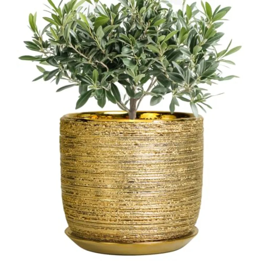 Plant Pot - Ceramic Planter with Drainage Hole and Saucer, Modern Round Planter for door Flowers, Gifts for Plant Lovers, Home
Plant Pot - Ceramic Planter with Drainage Hole and Saucer, Modern Round Planter for door Flowers, Gifts for Plant Lovers, Home