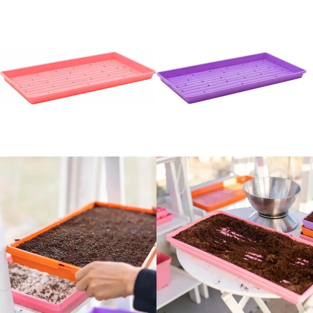 Розовые микрозеленые лотки Extra Strength, упаковка из 10 штук, неглубокие с отверстиями для выращивания пшеничной травы и других микрозелени
Розовые микрозеленые лотки Extra Strength, упаковка из 10 штук, неглубокие с отверстиями для выращивания пшеничной травы и других микрозелени