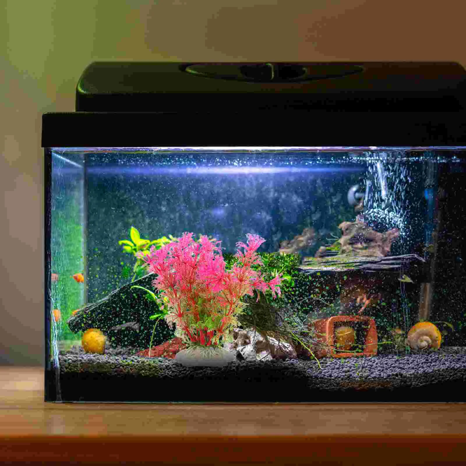 6 Pcs Aquarium Simulated Aquatic Plants Freshwater Fish Tank Decorations Small Accessories Grass Pe Fake Artificial
6 Pcs Aquarium Simulated Aquatic Plants Freshwater Fish Tank Decorations Small Accessories Grass Pe Fake Artificial