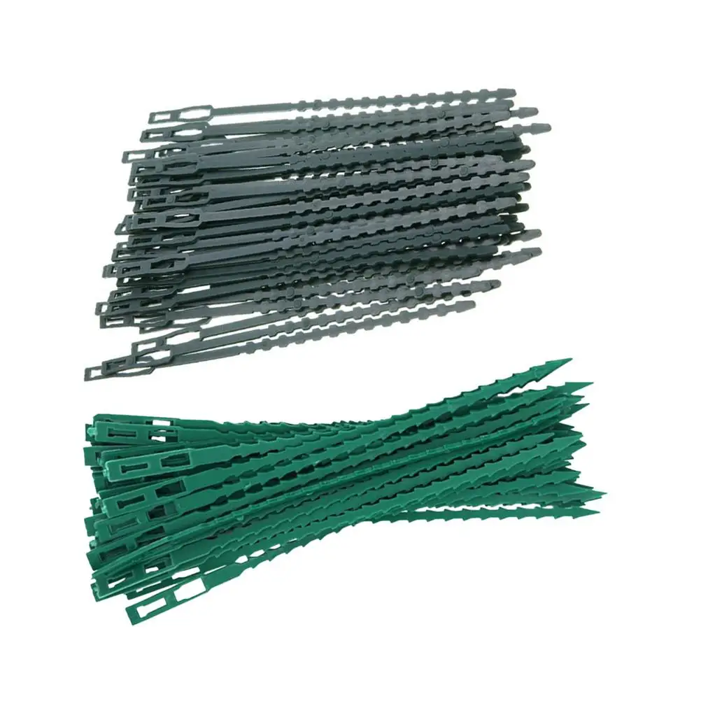 Gardening Cable Ties Heavy Duty Reusable Zip Straps Vine Climbing Fixing Buckle Plant Support Adjustable Easy Use Gardening
Gardening Cable Ties Heavy Duty Reusable Zip Straps Vine Climbing Fixing Buckle Plant Support Adjustable Easy Use Gardening
