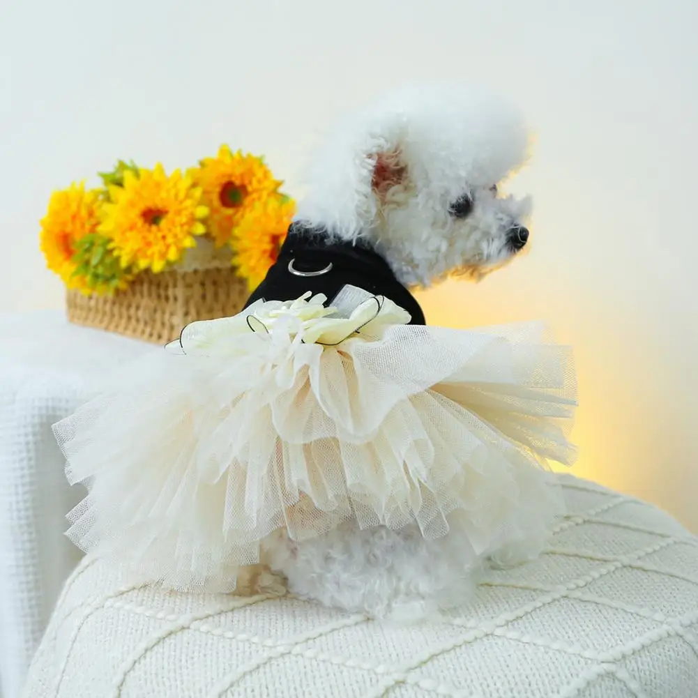 Bow Decoration Pet Outfit Elegant 3d Flower Bow Decoration Wedding Dog Dress Stylish Mesh Splicing Princess Pet for Wedding
Bow Decoration Pet Outfit Elegant 3d Flower Bow Decoration Wedding Dog Dress Stylish Mesh Splicing Princess Pet for Wedding