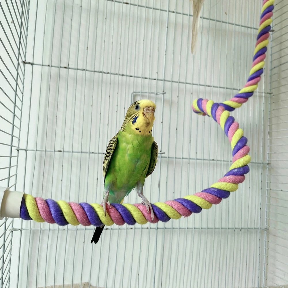 Bird Rope Perch Soft Cotton Parakeet Perches Colorful Bird Cage Accessories with Fixing Screws for Birds to Chew and Stand
Bird Rope Perch Soft Cotton Parakeet Perches Colorful Bird Cage Accessories with Fixing Screws for Birds to Chew and Stand