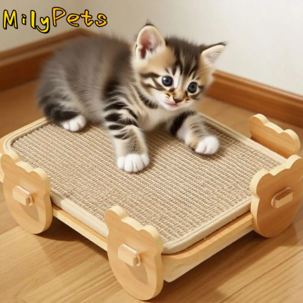 Removable Elevated Pet Bed Round/Rectangle Anti-Scratch Summer Cat Hammock Breathable Sisal/Cooling Mat Pet Sleeping Couch
Removable Elevated Pet Bed Round/Rectangle Anti-Scratch Summer Cat Hammock Breathable Sisal/Cooling Mat Pet Sleeping Couch