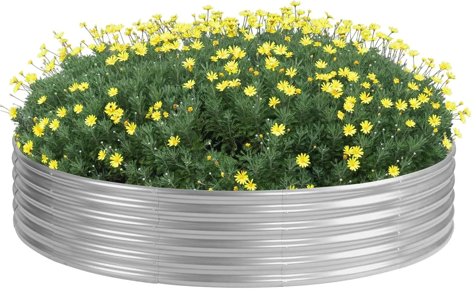 5x5x1ft Round Galvanized Raised Garden Bed Outdoor, Large Metal Planter Box for Vegetables, Sturdy Above Ground Garden B
5x5x1ft Round Galvanized Raised Garden Bed Outdoor, Large Metal Planter Box for Vegetables, Sturdy Above Ground Garden B
