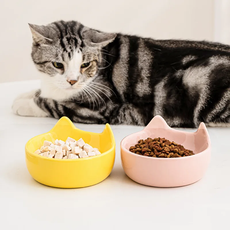 Anti Choke Cat Bowl Large Capacity Pet Food Dish with Slanted Design for Neck Support Non Slip Dog Bowl
Anti Choke Cat Bowl Large Capacity Pet Food Dish with Slanted Design for Neck Support Non Slip Dog Bowl