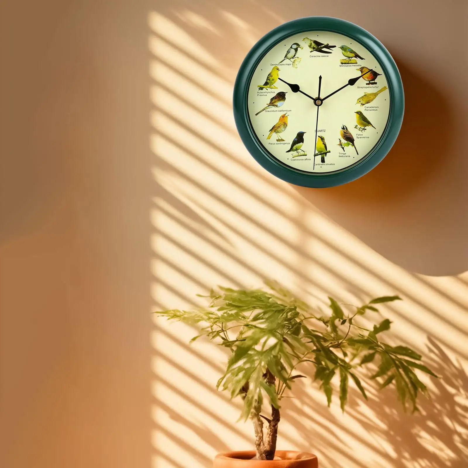 25cm Musical Birds Wall Hanging Sound Clock Battery Operated Room Decoration Green Frame Melody Clock for Bedroom Office
25cm Musical Birds Wall Hanging Sound Clock Battery Operated Room Decoration Green Frame Melody Clock for Bedroom Office