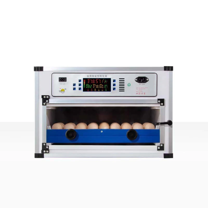 Factory Price High Hatching Rate 96% Small Capacity PVC Body 68 Chicken Egg Incubator with Roller Type Tray
Factory Price High Hatching Rate 96% Small Capacity PVC Body 68 Chicken Egg Incubator with Roller Type Tray