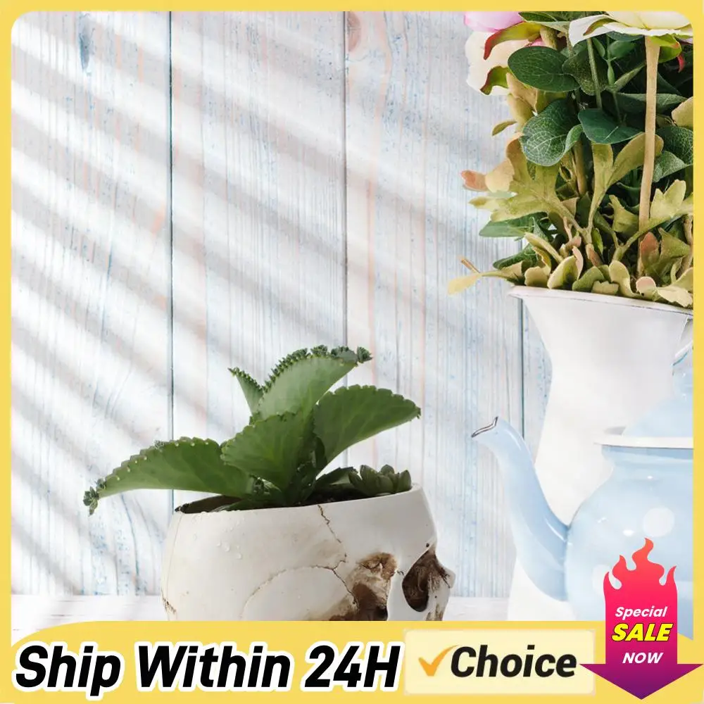 Модель человеческого черепа из смолы, настольный цветочный горшок, офисный декор в виде скелета
Модель человеческого черепа из смолы, настольный цветочный горшок, офисный декор в виде скелета