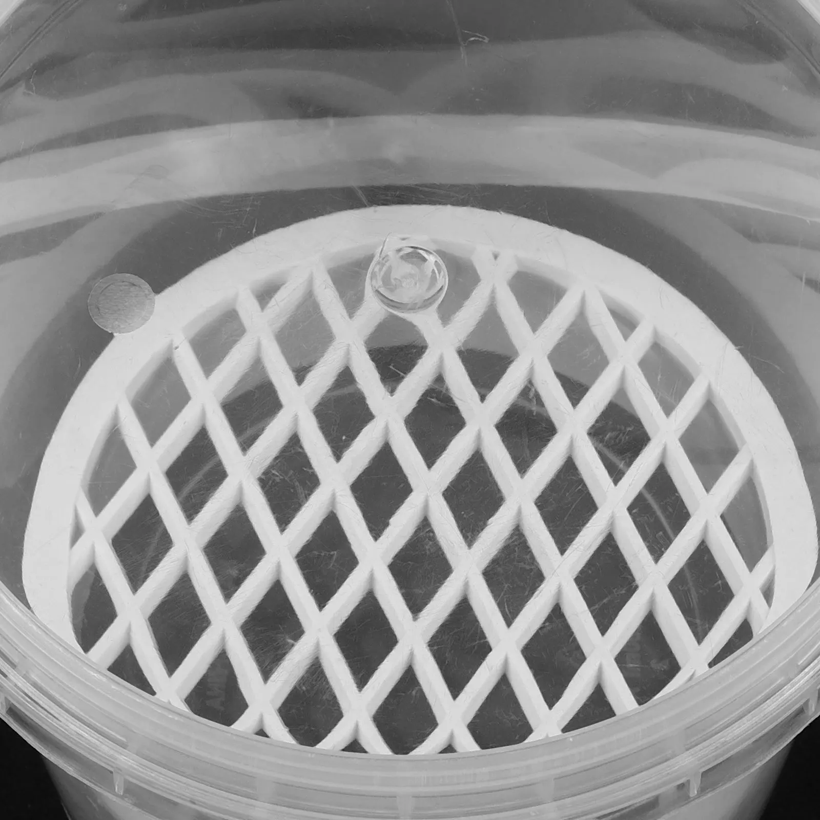 Round Turtle Isolation Box for Small Tortoise Breeding Safe Separation Aquarium Divider Prevents Biting Fighting
Round Turtle Isolation Box for Small Tortoise Breeding Safe Separation Aquarium Divider Prevents Biting Fighting