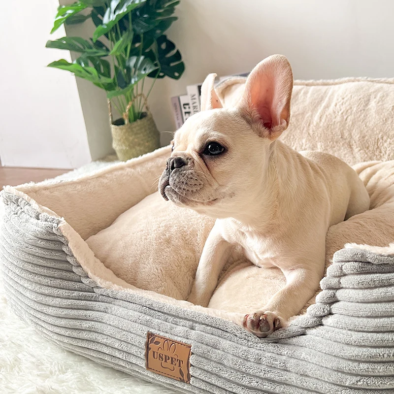 Manufacturer Custom Soft Comfortable Removable Washable Cute Luxury Thick Corduroy Durable Calming Small Pet Sofa Bed Dog Bed
Manufacturer Custom Soft Comfortable Removable Washable Cute Luxury Thick Corduroy Durable Calming Small Pet Sofa Bed Dog Bed