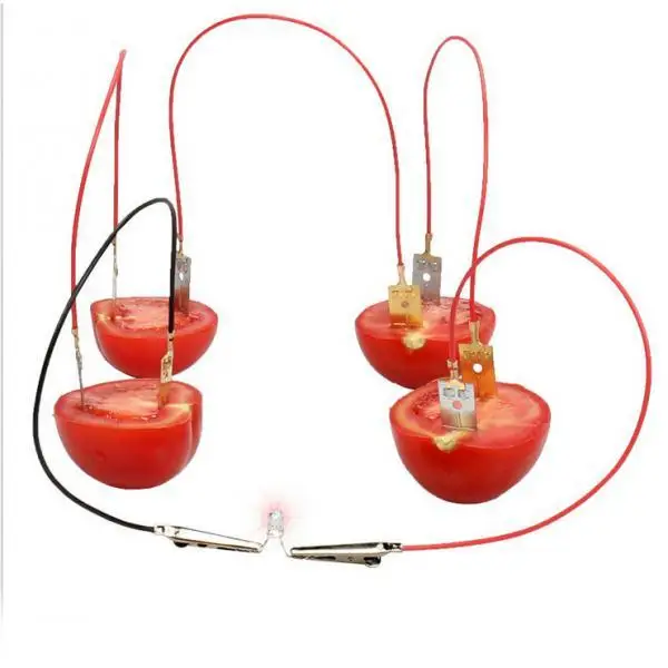Educational Science Toy DIY Fruit Battery Generator Copper Zinc Intelligence Toy for Hands on Power Generation Experiment
Educational Science Toy DIY Fruit Battery Generator Copper Zinc Intelligence Toy for Hands on Power Generation Experiment