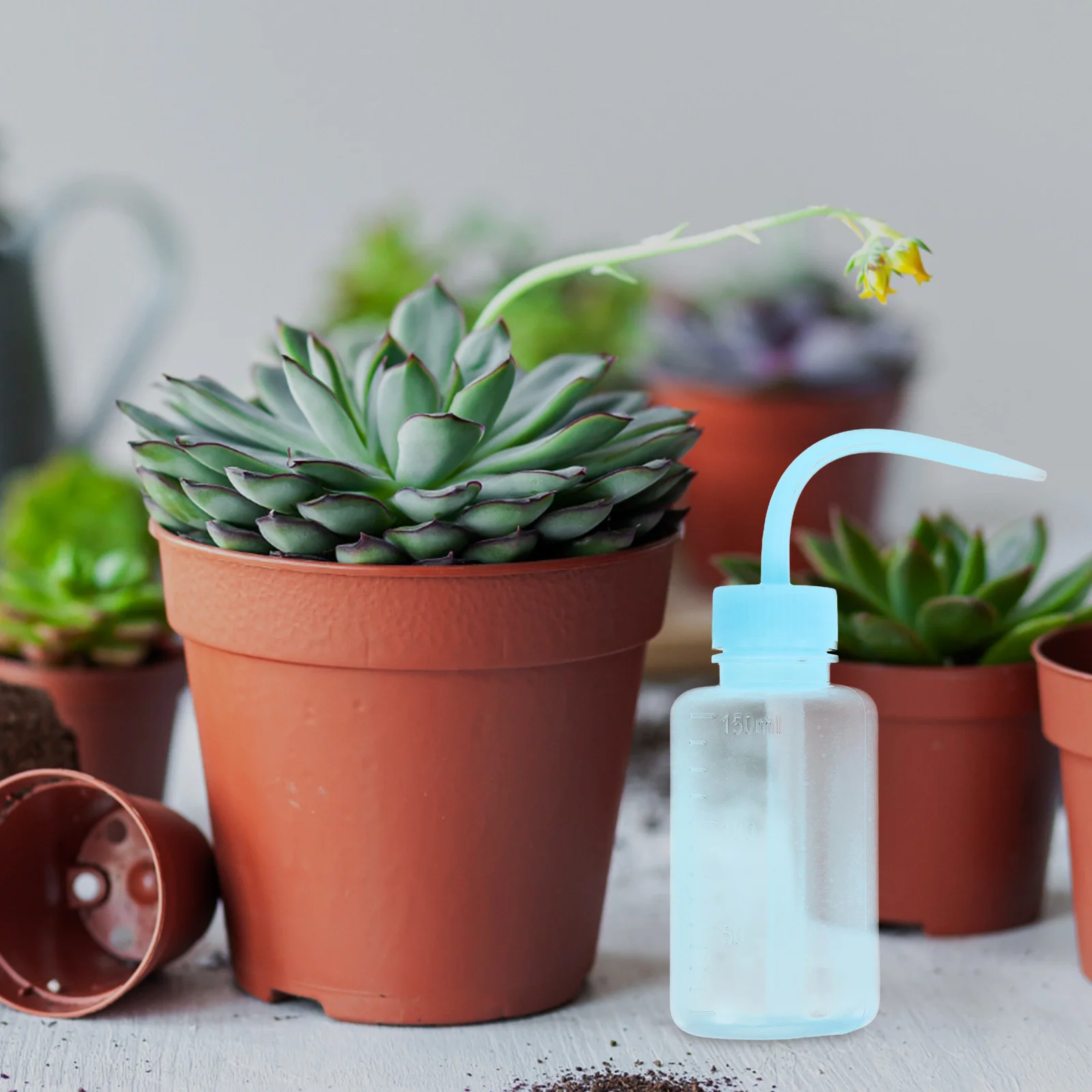 2pcs 150Ml Cleaning Bottle Elbow Squeeze Design For Plants Succulent Watering Tools Tattoo Rinse Lash Wash Medical Spray Garden
2pcs 150Ml Cleaning Bottle Elbow Squeeze Design For Plants Succulent Watering Tools Tattoo Rinse Lash Wash Medical Spray Garden